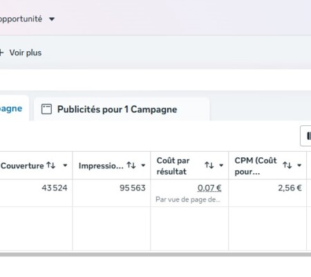 Campagne pour compétition avec ROI x9,1, réalisé par Agence RynelKreation pour Résilience Studio